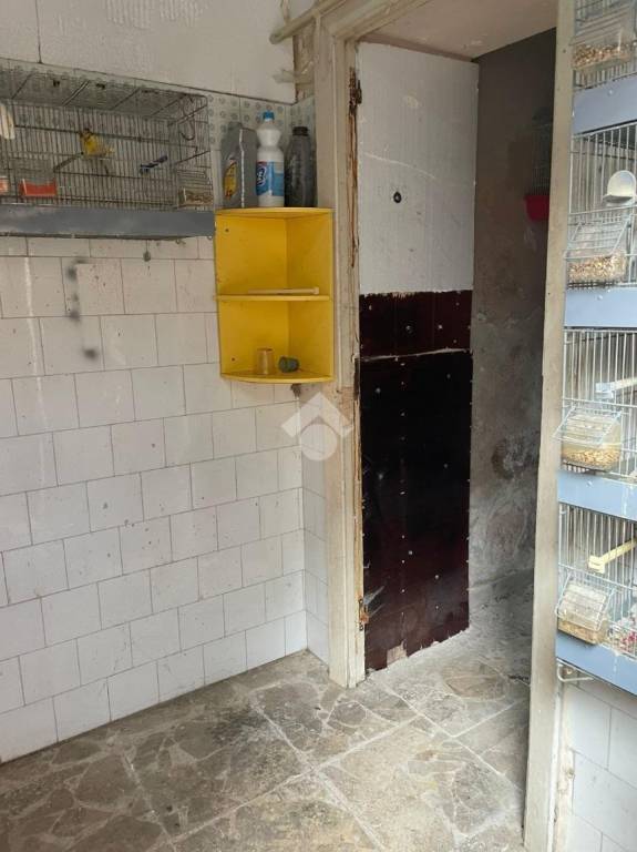 immagine annuncio 10 di 14