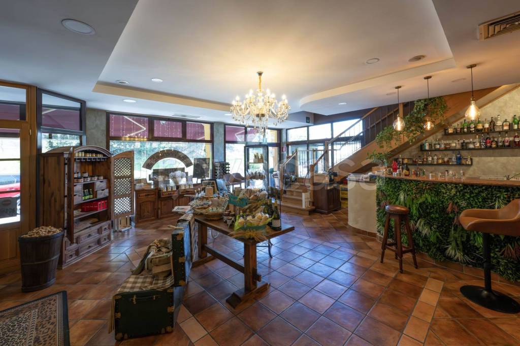 immagine annuncio 6 di 11