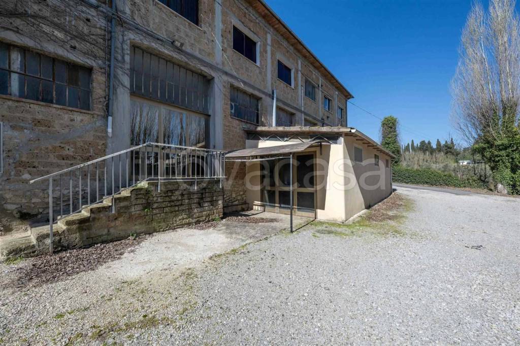 immagine annuncio 5 di 6