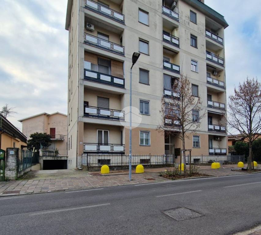 immagine annuncio 11 di 12