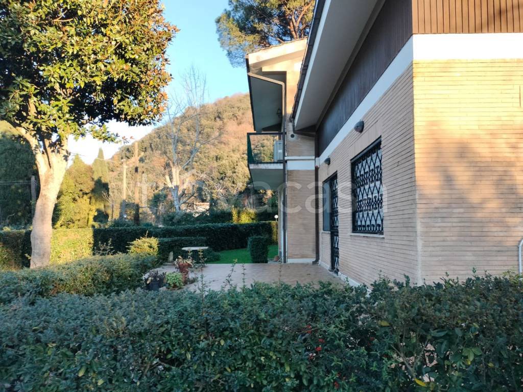 immagine annuncio 2 di 8