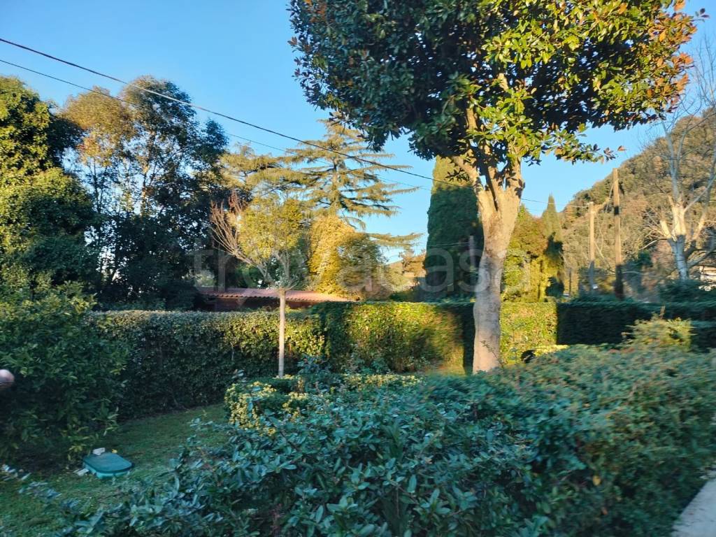 immagine annuncio 3 di 8