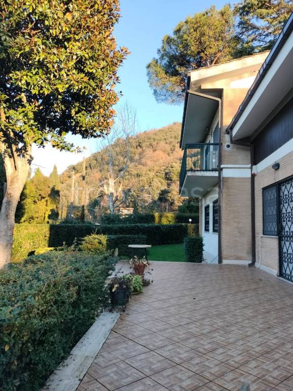 immagine annuncio 4 di 8