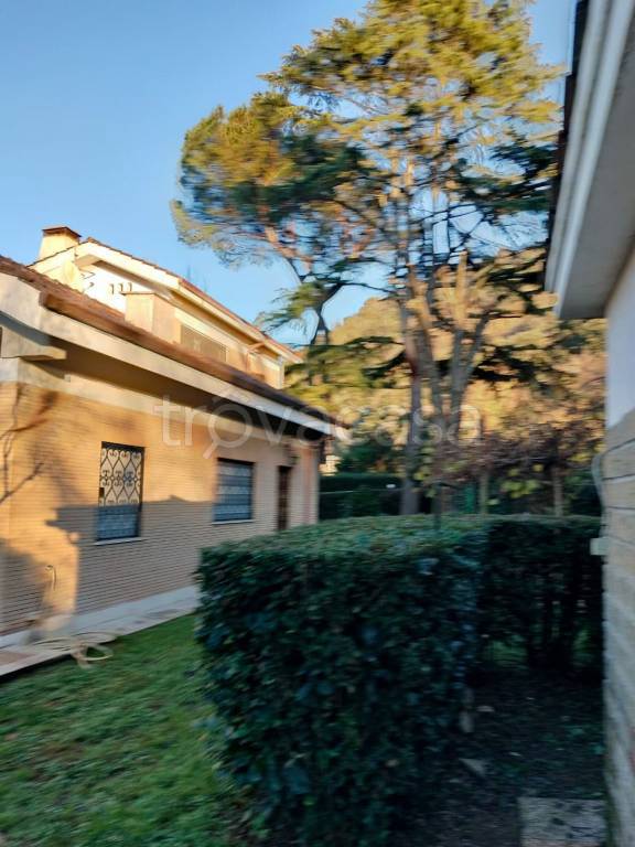 immagine annuncio 5 di 8