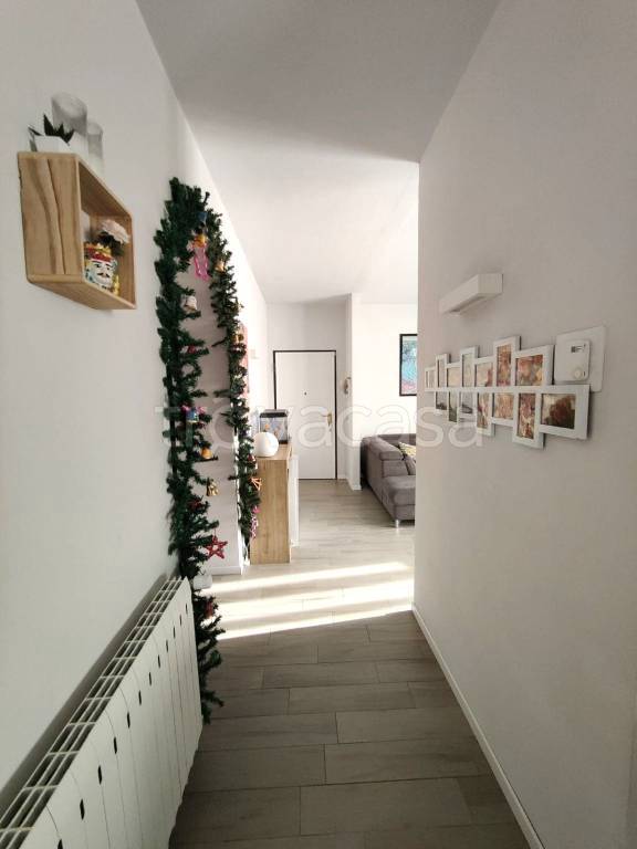 immagine annuncio 7 di 14