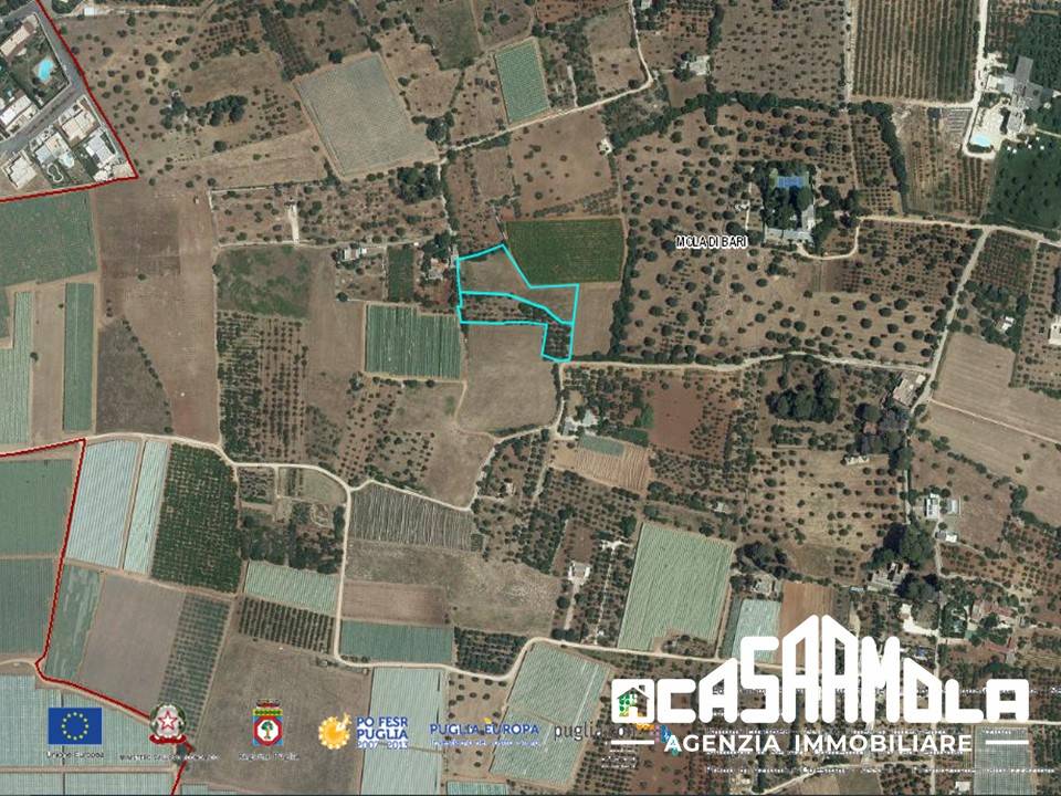 immagine annuncio 2 di 3