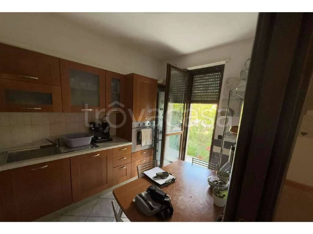 immagine annuncio 4 di 14