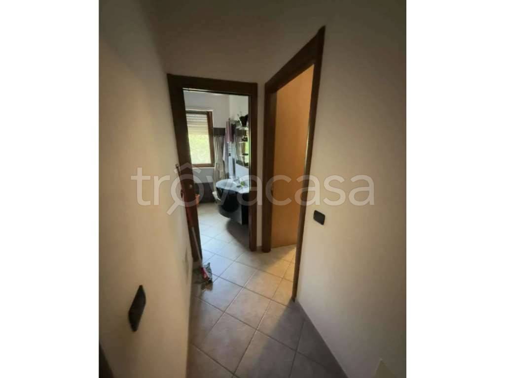 immagine annuncio 8 di 14