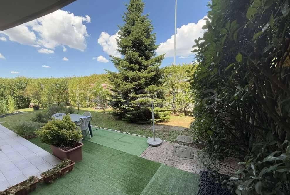 immagine annuncio 12 di 14