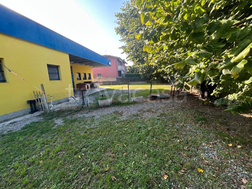 immagine annuncio 4 di 10