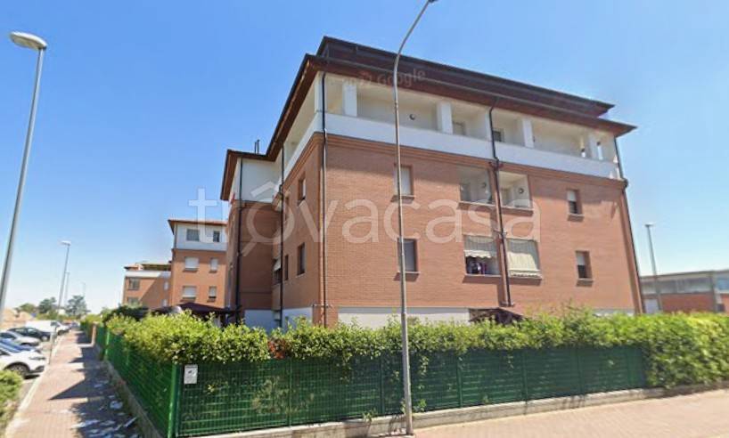 immagine annuncio 5 di 13