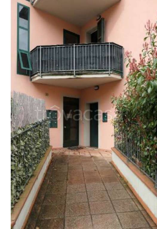 immagine annuncio 8 di 11