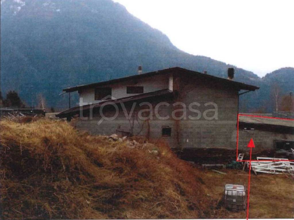 immagine annuncio 5 di 14