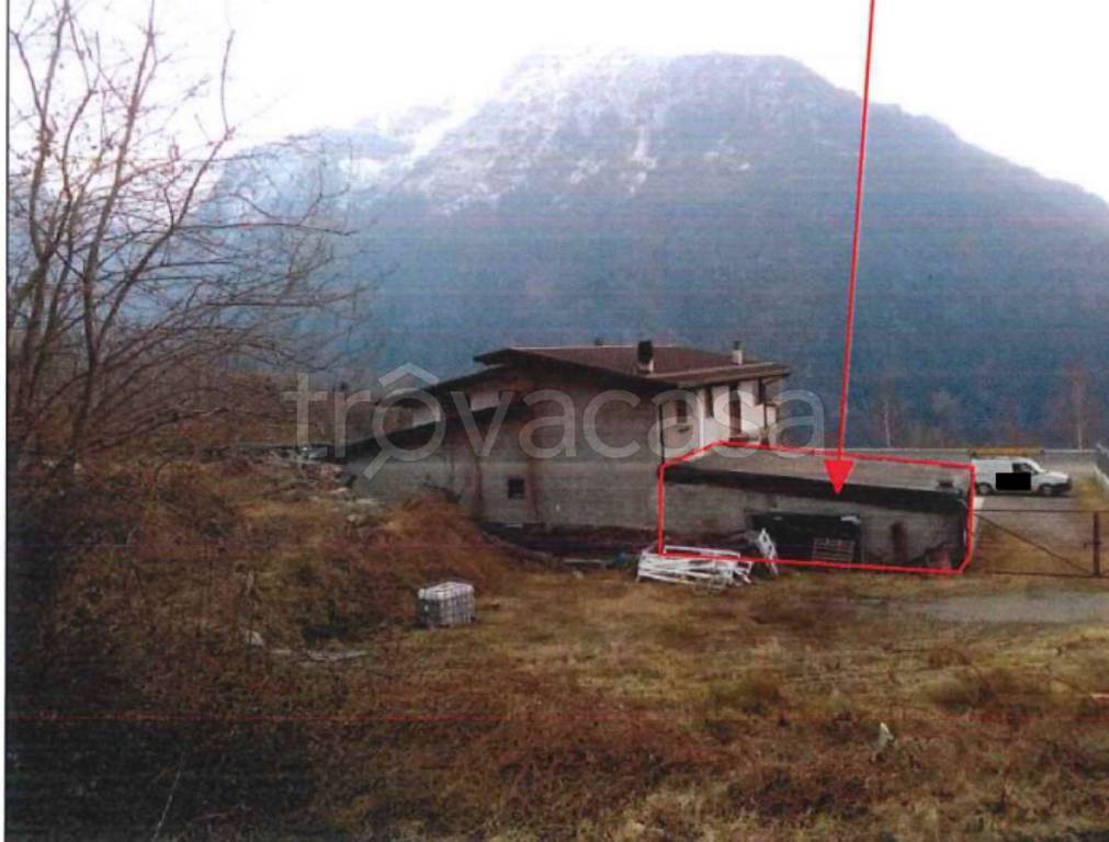 immagine annuncio 6 di 14