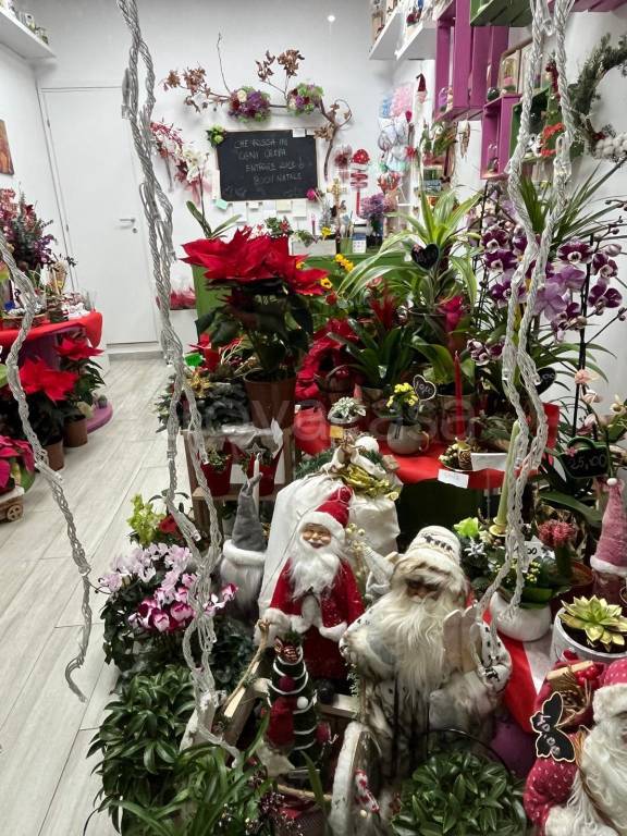 immagine annuncio 1 di 6