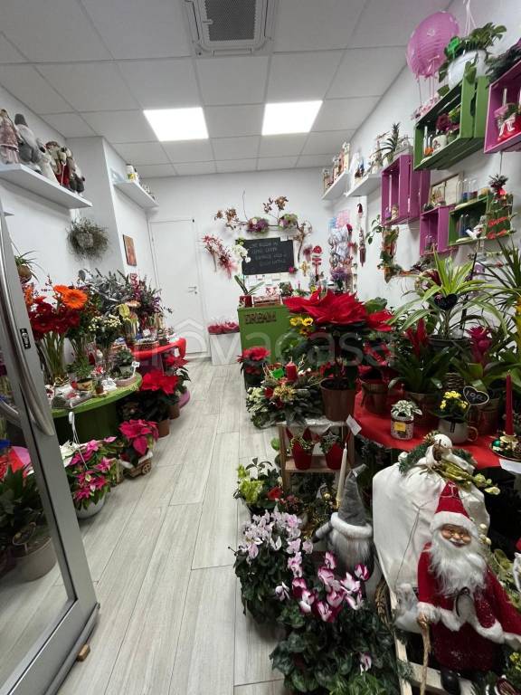 immagine annuncio 2 di 6