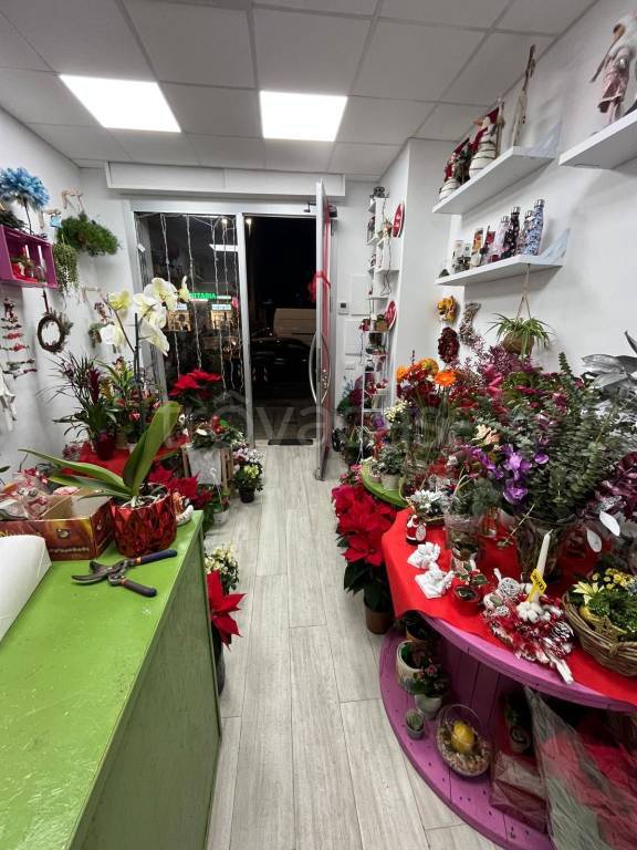 immagine annuncio 4 di 6