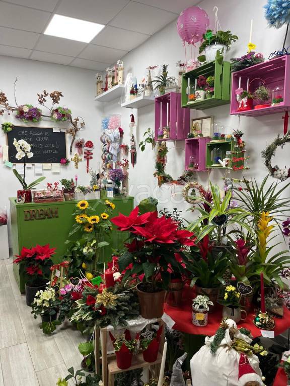 immagine annuncio 5 di 6