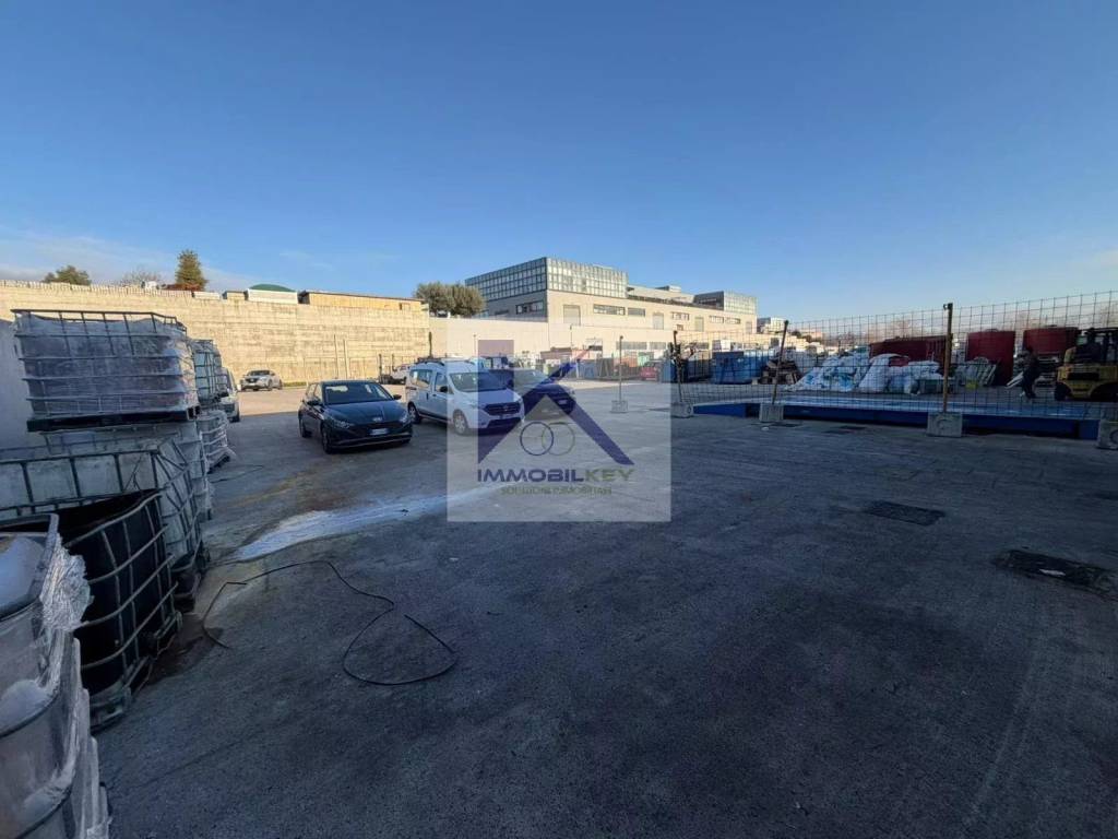 immagine annuncio 1 di 14