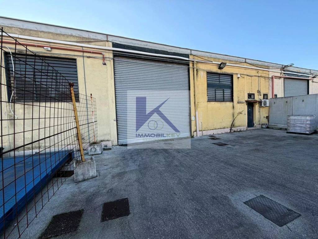 immagine annuncio 2 di 14