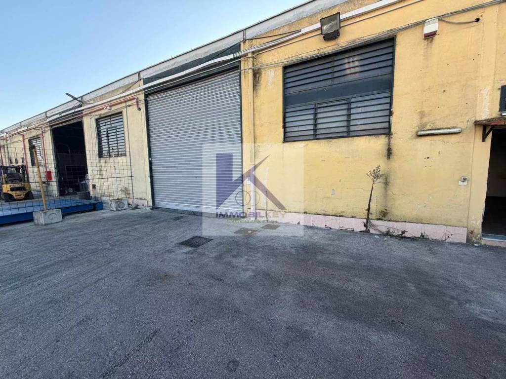 immagine annuncio 3 di 14