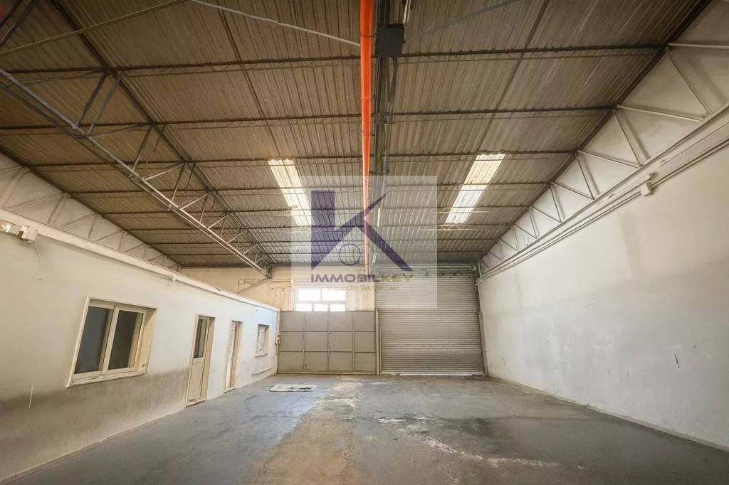 immagine annuncio 6 di 14