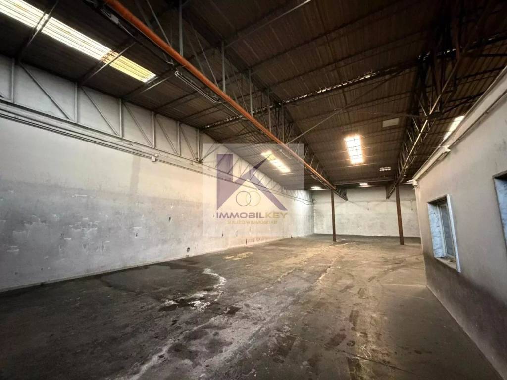 immagine annuncio 9 di 14