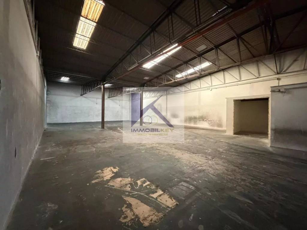 immagine annuncio 10 di 14