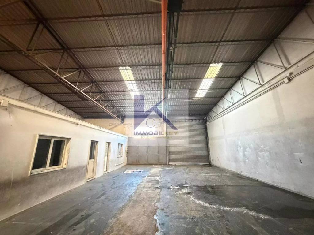 immagine annuncio 11 di 14