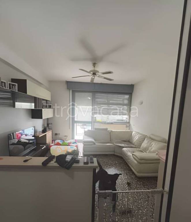 immagine annuncio 3 di 8