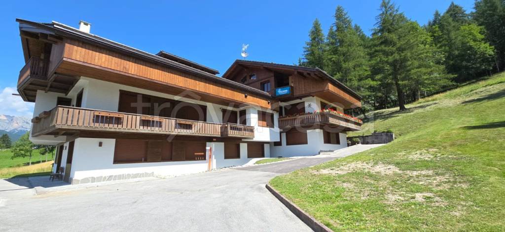 immagine annuncio 1 di 14