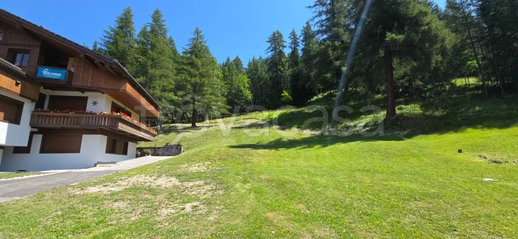 immagine annuncio 3 di 14