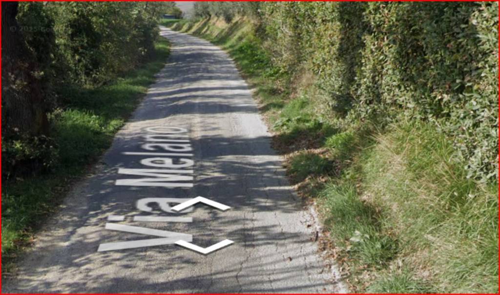 immagine annuncio 5 di 12