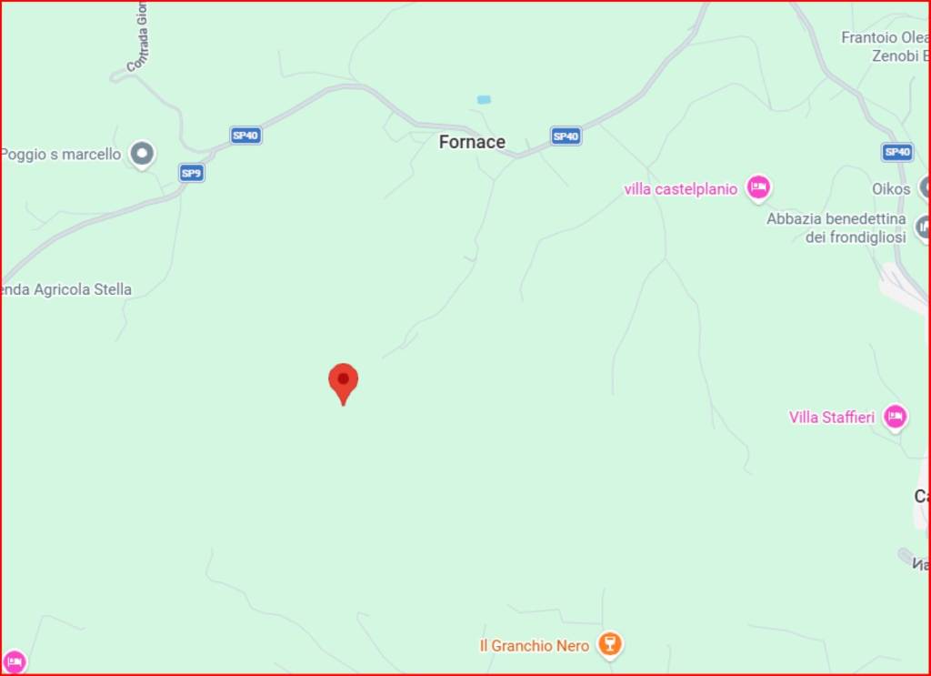 immagine annuncio 10 di 12