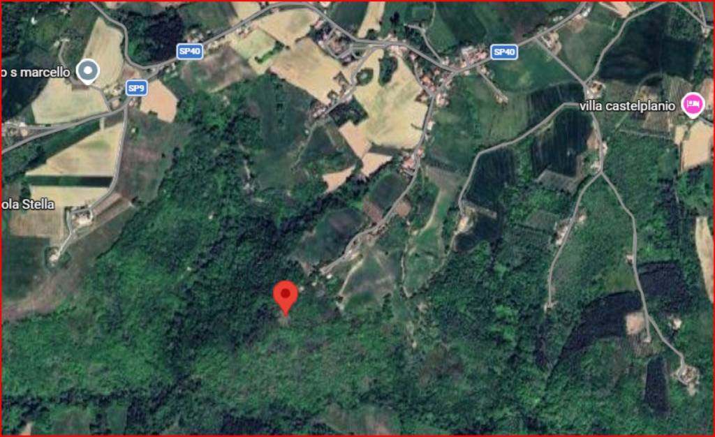 immagine annuncio 11 di 12