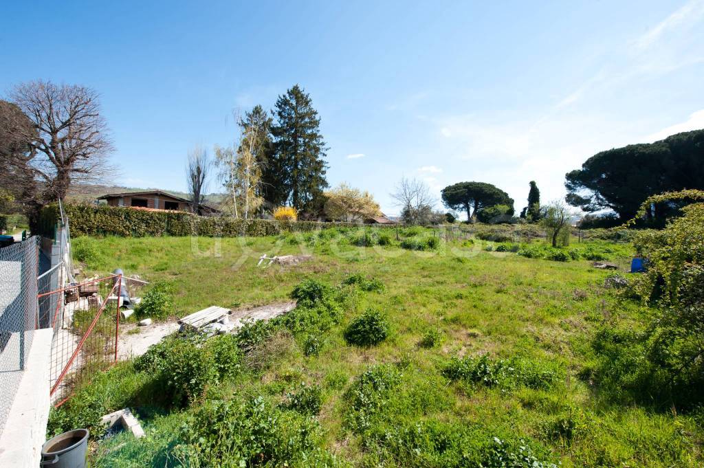 immagine annuncio 1 di 8