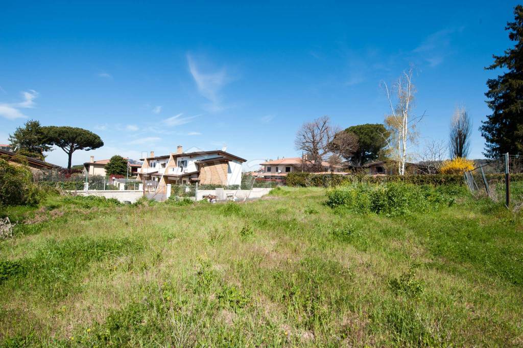 immagine annuncio 3 di 8