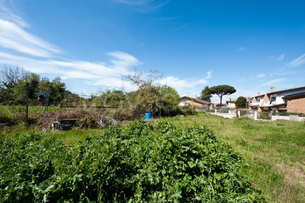 immagine annuncio 4 di 8