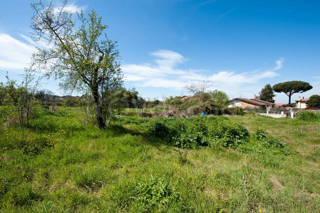 immagine annuncio 5 di 8