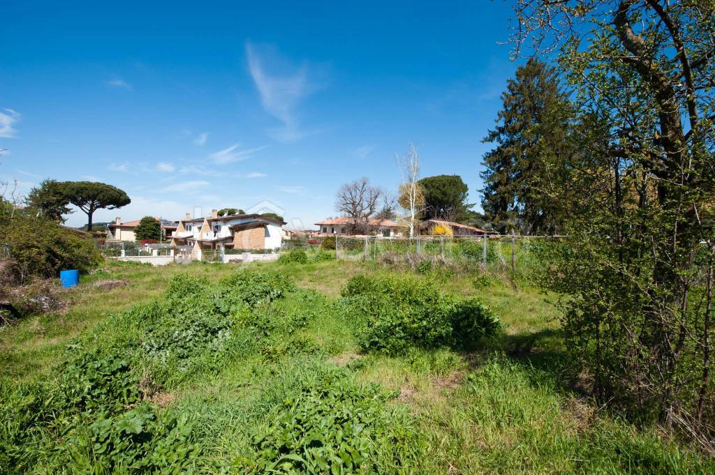 immagine annuncio 6 di 8