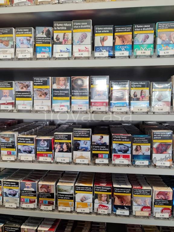 immagine annuncio 8 di 13