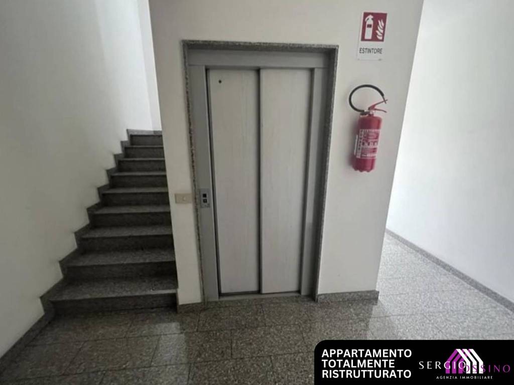 immagine annuncio 5 di 8