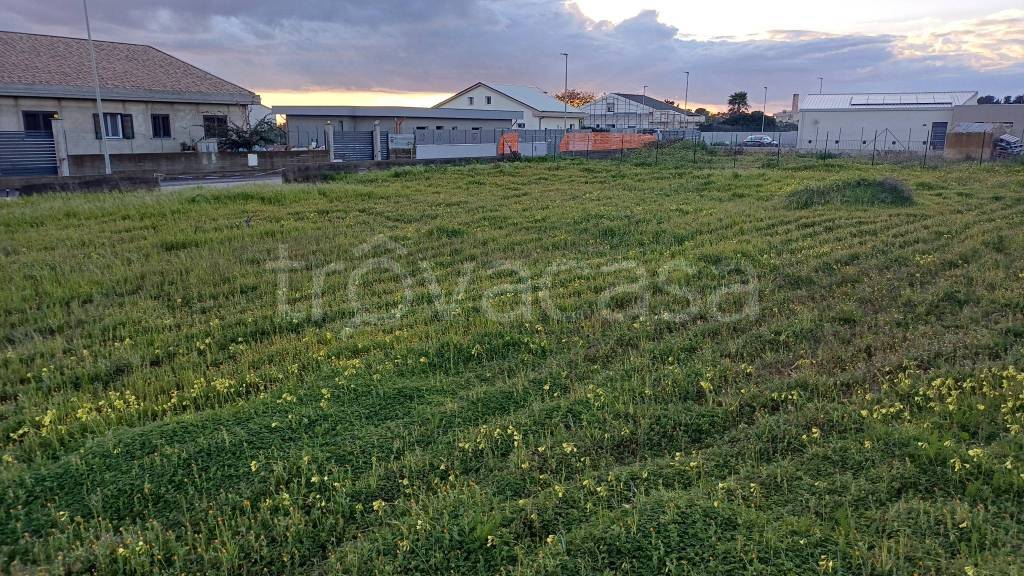 immagine annuncio 2 di 8