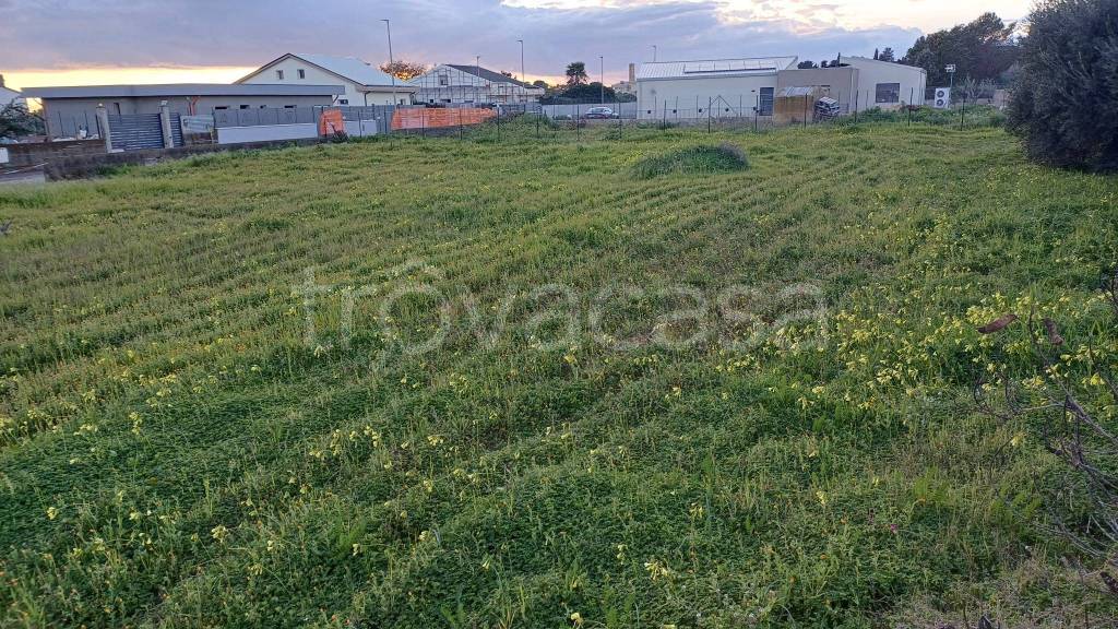 immagine annuncio 4 di 8