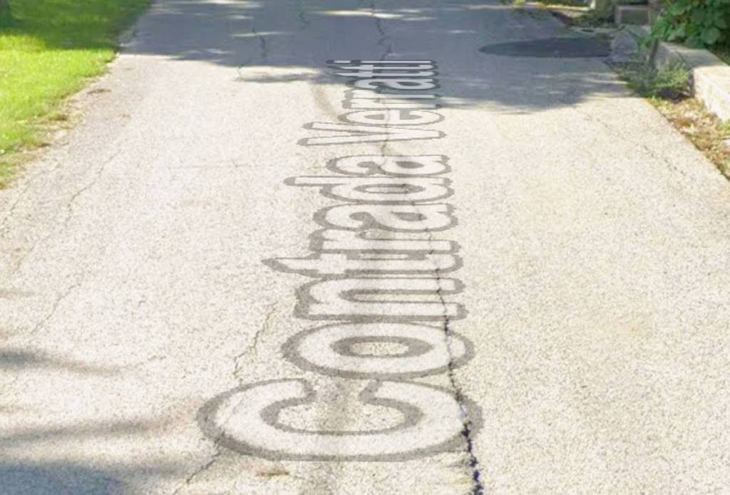 immagine annuncio 12 di 14