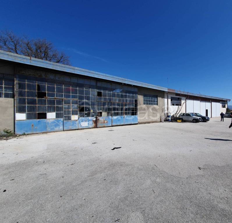 immagine annuncio 10 di 11