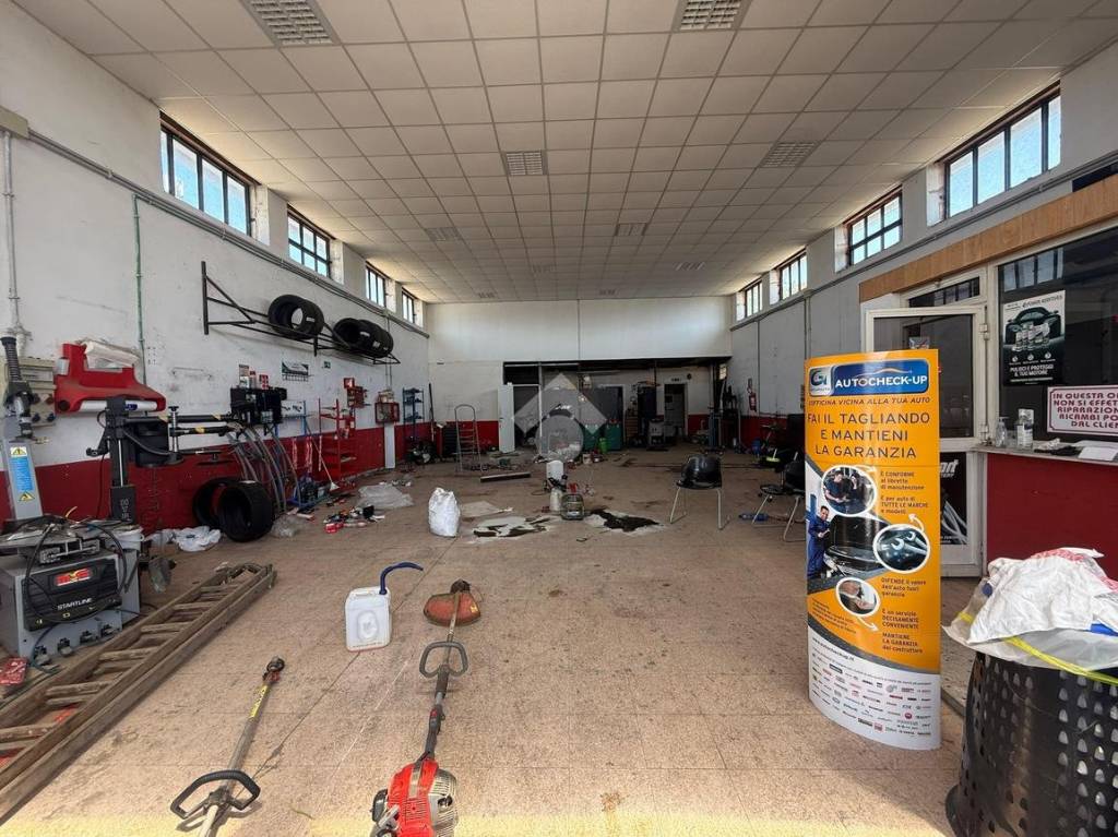 immagine annuncio 6 di 15