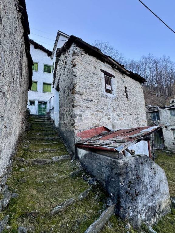 immagine annuncio 1 di 7