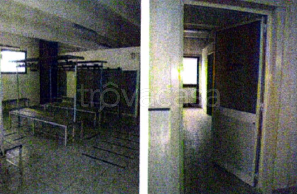 immagine annuncio 5 di 12