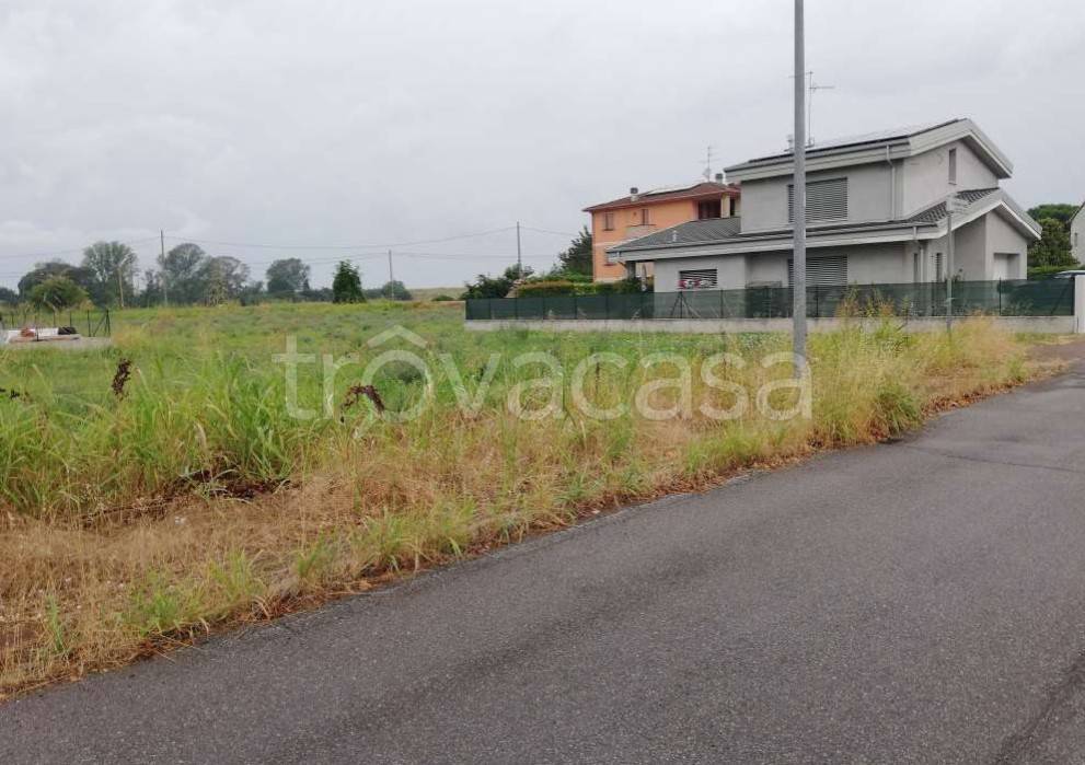 immagine annuncio 2 di 8